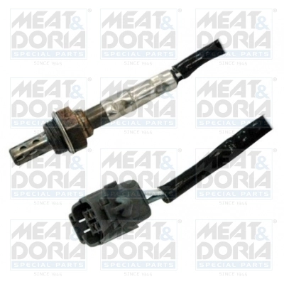 Oxygen Sensor
